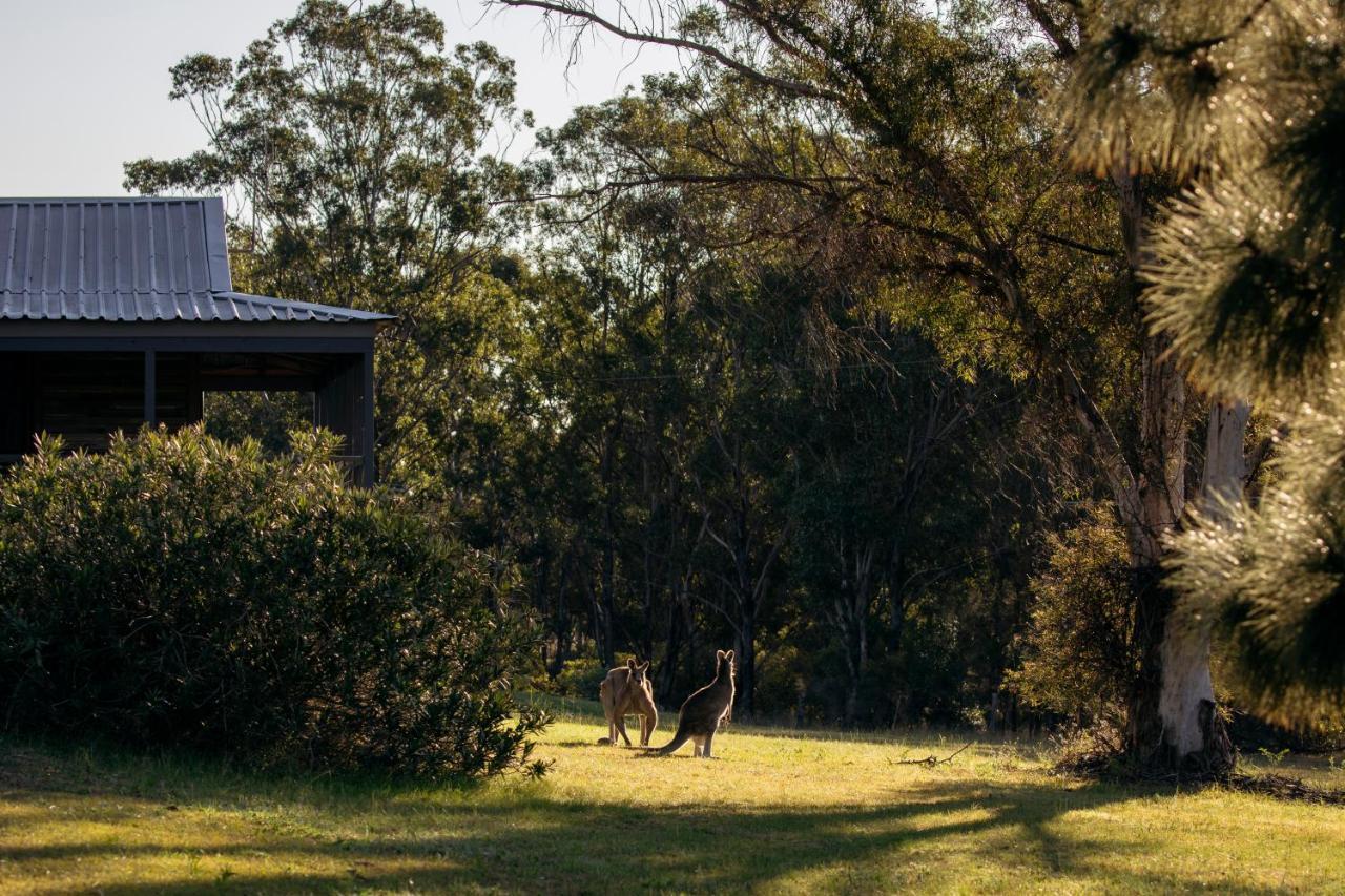 Palmers Lane Estate Hunter Valley 波高尔宾 外观 照片